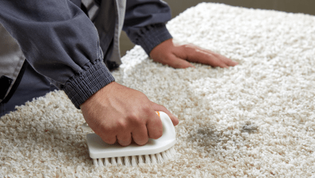 Professional Rug Cleaning Attwood